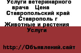 Услуги ветеринарного врача › Цена ­ 300 - Ставропольский край, Ставрополь г. Животные и растения » Услуги   